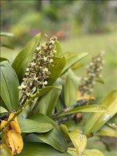 by krodin, Views[129]