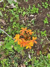 by krodin, Views[117]