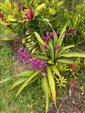 by krodin, Views[141]