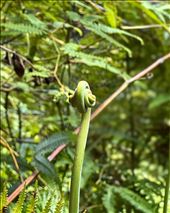 by krodin, Views[212]