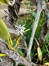 by krodin, Views[165]