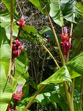 by krodin, Views[150]