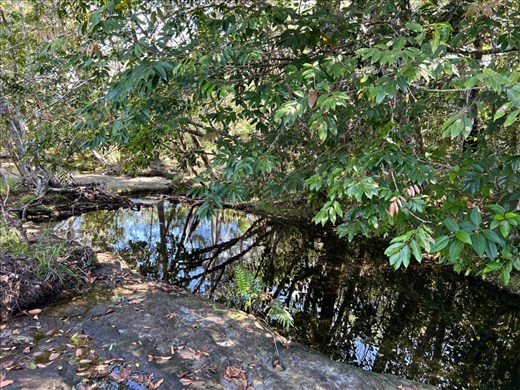 Jacuzzi area of the tunnels