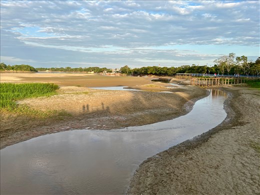Guaviare River - dry season