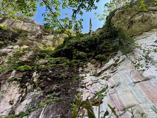 view from petroglyphs up to the top of the rock
