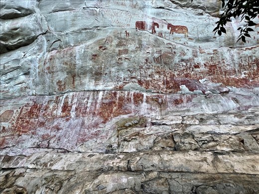 Tapir panel - Cerro Azul