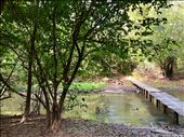 crossing the first bridge on the walk to the laguna: by krodin, Views[177]