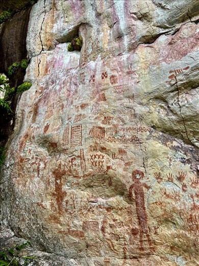 2nd level main panel