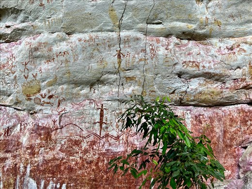 2nd level main panel