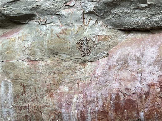 Anaconda image that is throughout the site