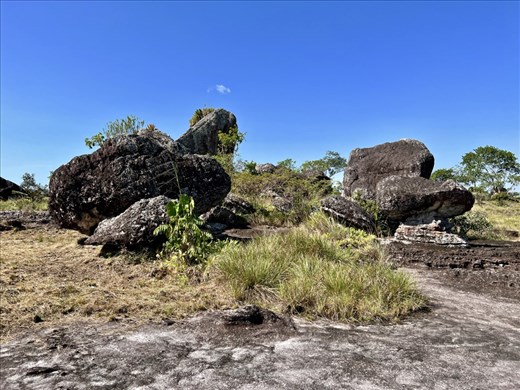 rocks in the middle of the savannah