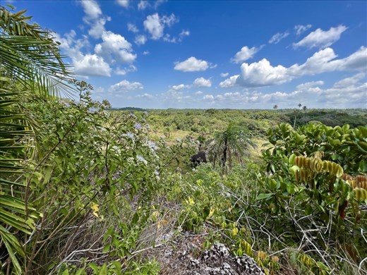 savannah from mirador near Puenta de Orion