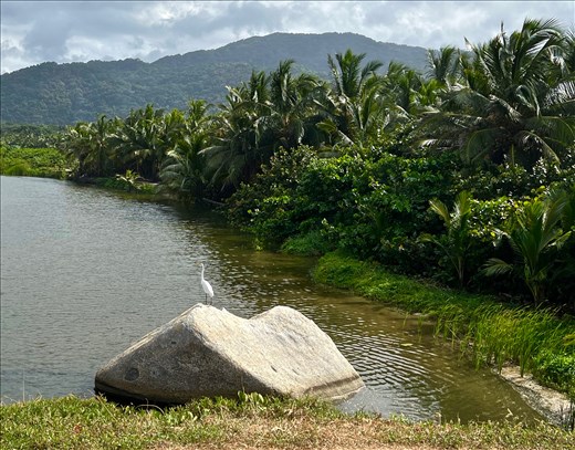 Guardian of La Piscina