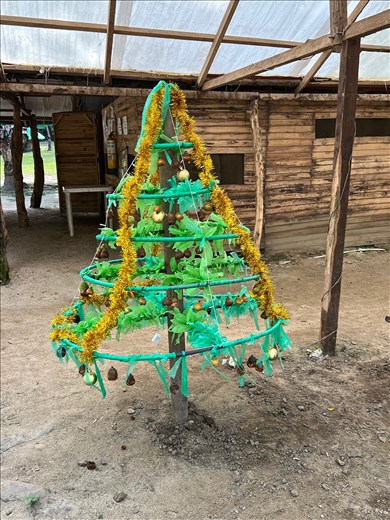 Christmas tree near horse stable