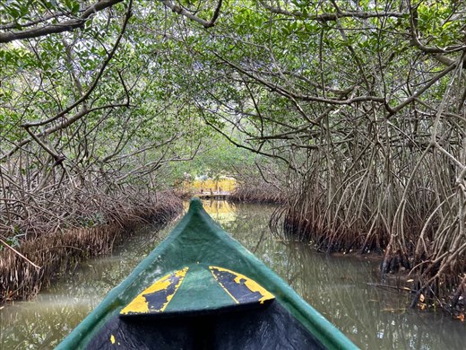 Light at the end of the tunnel