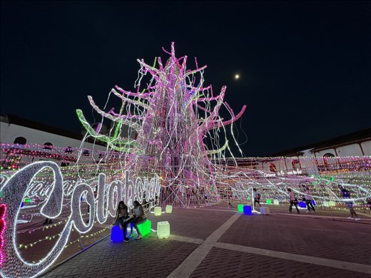 Christmas tree from the other side