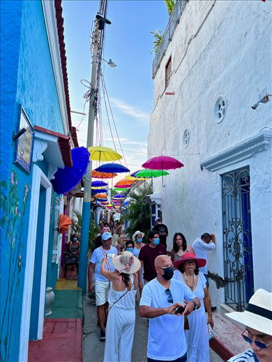 Umbrella street in Getsemani