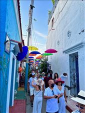 Umbrella street in Getsemani: by krodin, Views[280]
