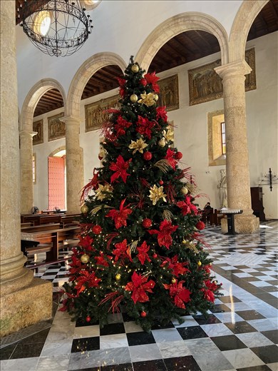 Christmas tree in the Cathedral