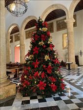 Christmas tree in the Cathedral: by krodin, Views[147]