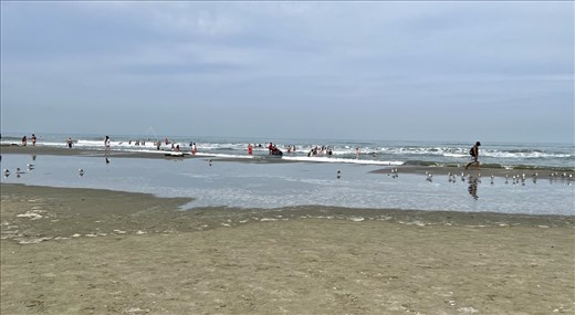 beach in front of the hotel