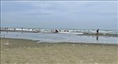 The Caribbean coast : by krodin, Views[345]