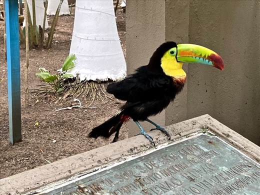 A friend greeting me for breakfast