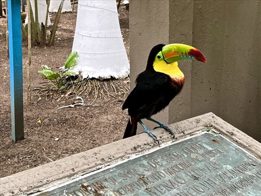 I think he liked to pose