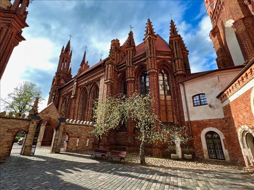 Tree covered with blue and yellow ribbons in support of Ukraine by St. Anne's Church