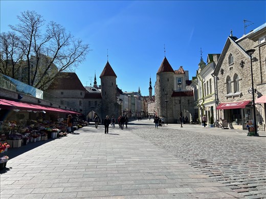 Old Town Tallinn through Viru Gate