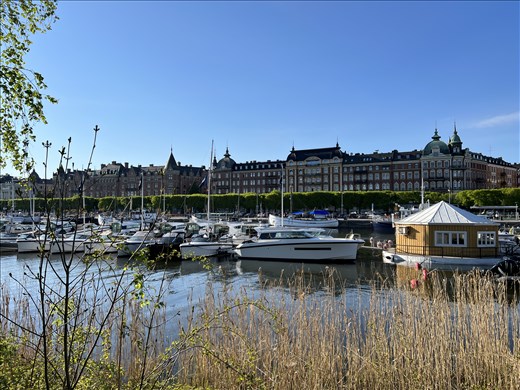 Stockholm street scene 