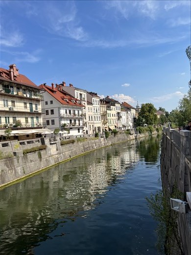 Life on the Ljubljana River
