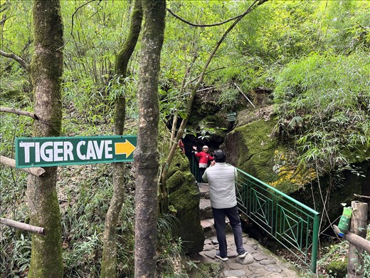 Eco-caves - there are 5 of them, Tiger, Panther, Porcupine, Flying Fox and Bat.  I went through the first three, partially on hands and knees.