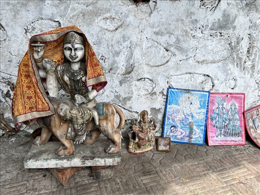 Durga at Naukuchiyatal