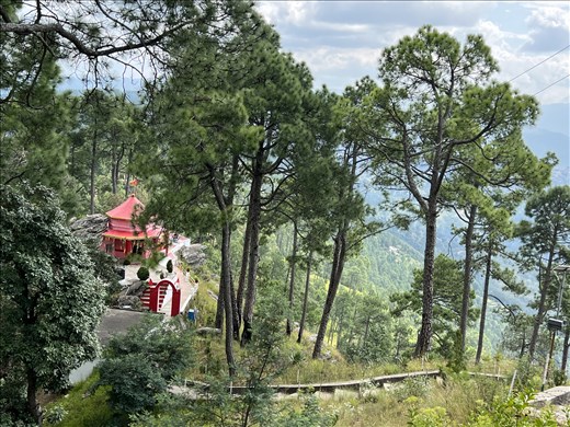 Kesar Devi in the woods