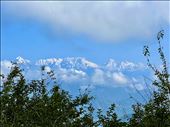 Morning view from Crank's Ridge,
Trisuli and Nanda Devi: by krodin, Views[814]
