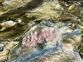 human figured Bronze Age pictographs, Lakhudiyar: by krodin, Views[98]