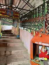 beginning of unending staircase to Dunagiri Devi Temple: by krodin, Views[316]