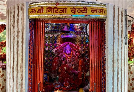 Giriji Devi in her shrine