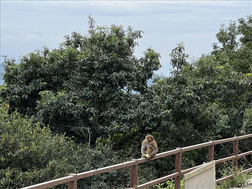 friend at Vajrayogini in Sankhu