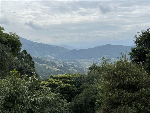 View from Vajrayogini Temple
