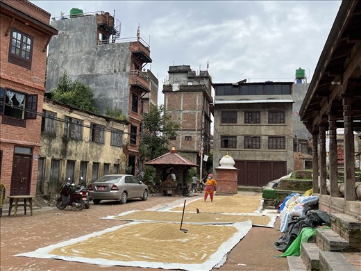 Threshing rice near the main square in Sankhu