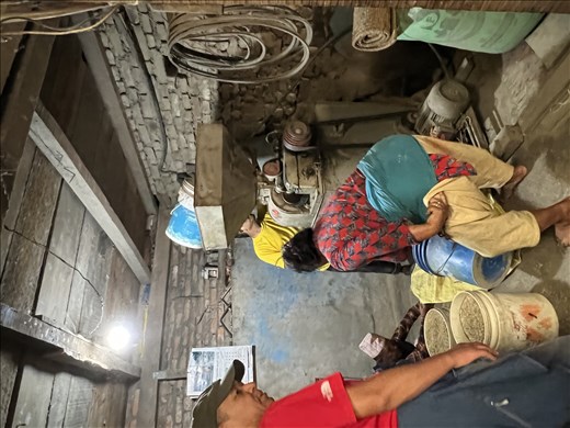 loading freshly picked rice into hulling machine, Sankhu