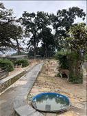 Deer Park at Pashupatinath - normally closed, but the guard let us in:): by krodin, Views[126]