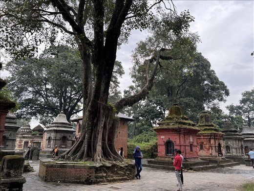 scene at Pashupatinath