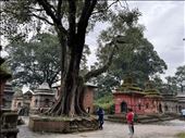 scene at Pashupatinath: by krodin, Views[146]