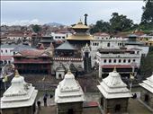 Pashupatinath Temple and Cremation Grounds, the Hospice is the white building on the right side of the image: by krodin, Views[135]