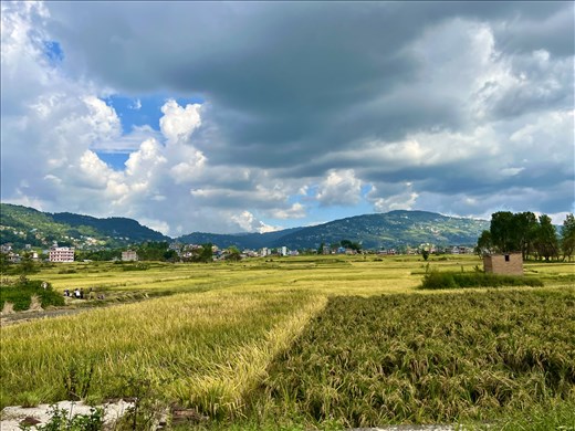 fields on the way from Changu Narayan to Bhaktapur
