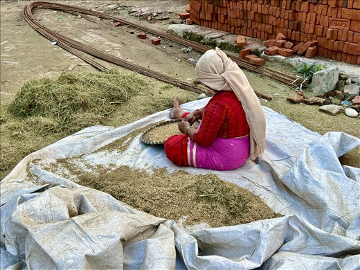 woman sorting rice at Pottery Square