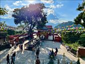 Saraswati Temple grounds, Swayambhunath: by krodin, Views[150]